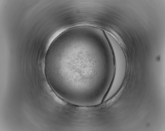 X0000090440812200707272153