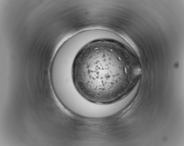 X0000090440813200707272153