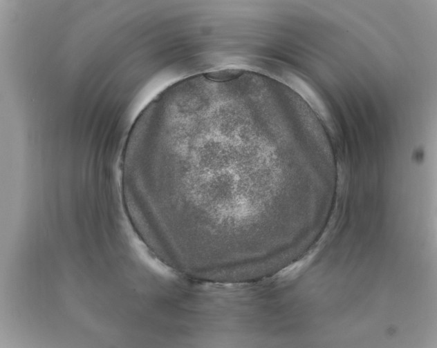 X0000090440814200707272153