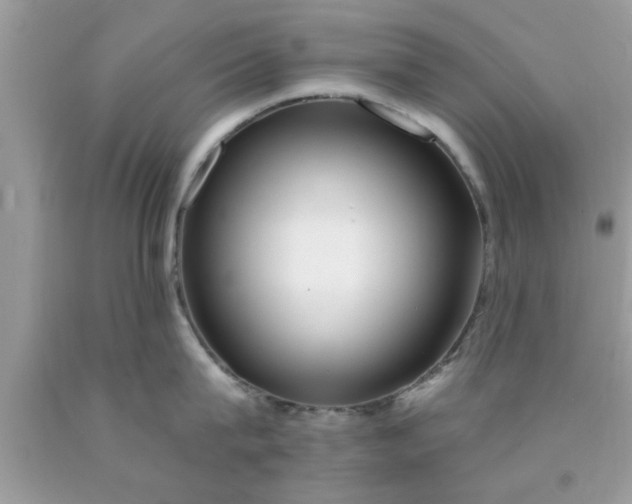 X0000090440815200707272153