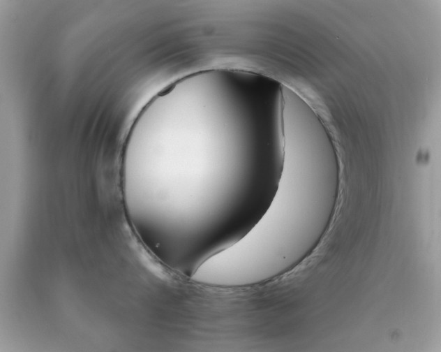 X0000090440816200707272153