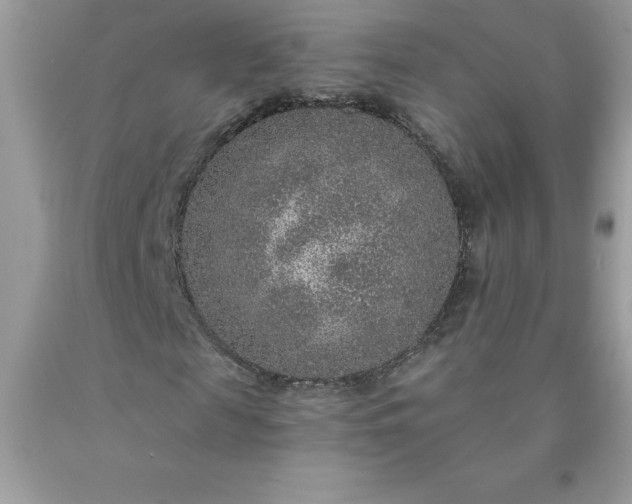 X0000090440817200707272152