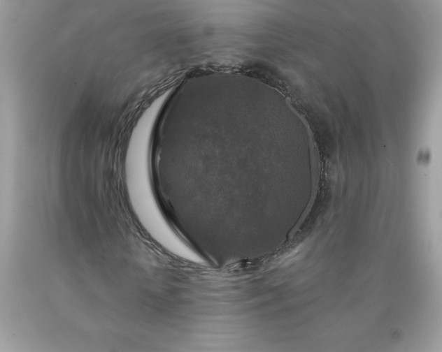 X0000090440818200707272152