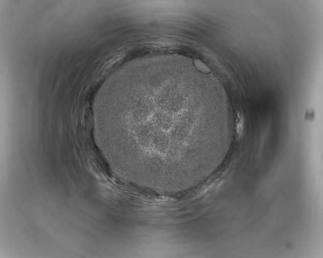 X0000090440819200707272152