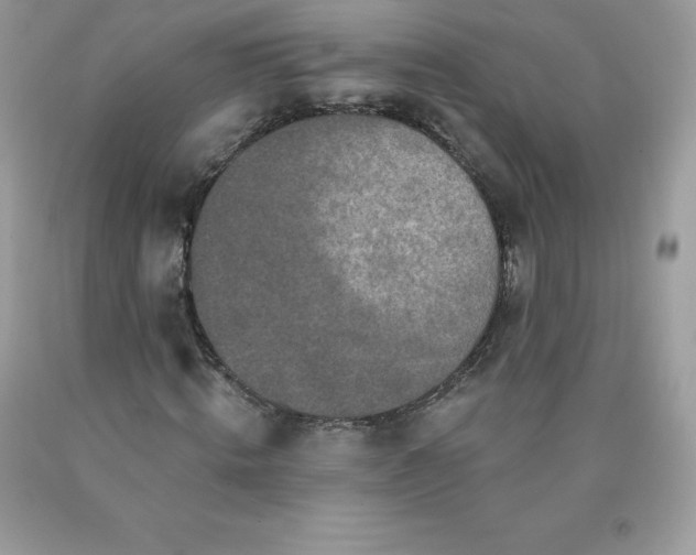 X0000090440820200707272152