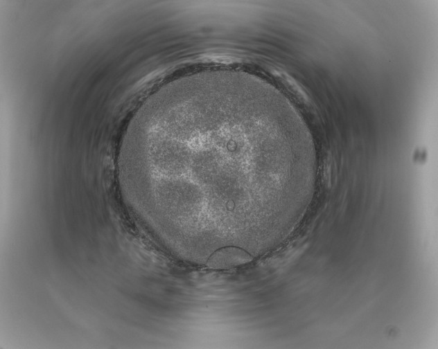 X0000090440821200707272152