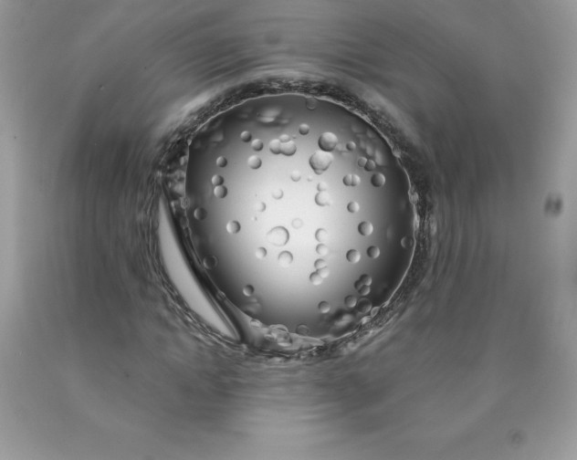 X0000090440822200707272152