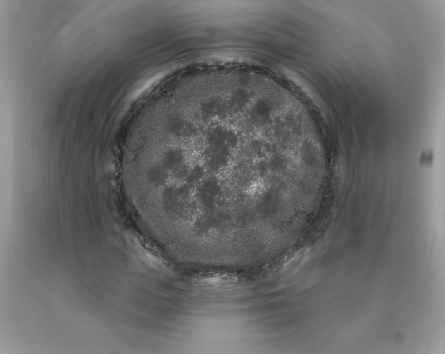 X0000090440823200707272152