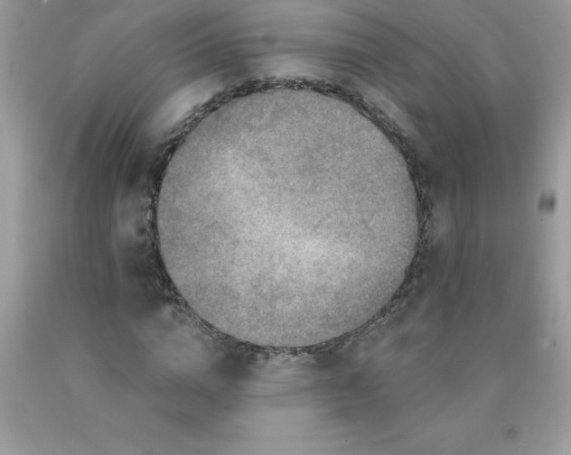 X0000090440824200707272152