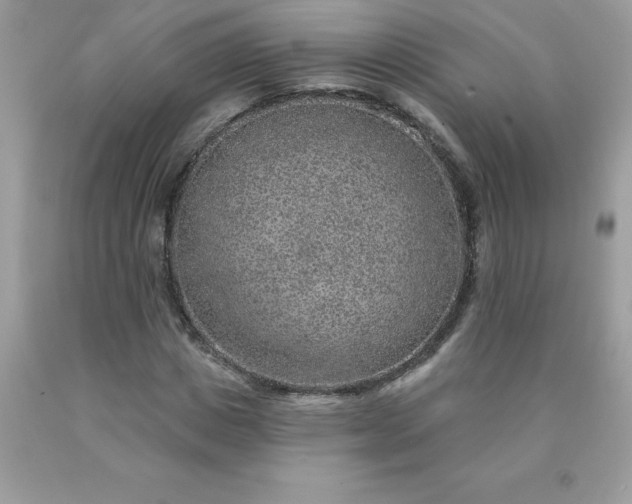 X0000090440825200707272152