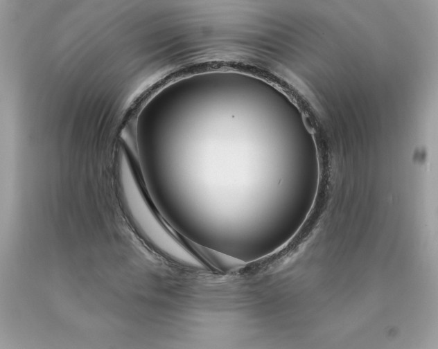 X0000090440826200707272152