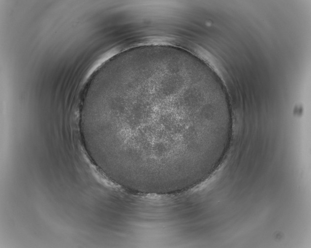 X0000090440827200707272152