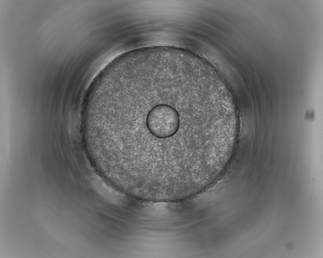 X0000090440828200707272152