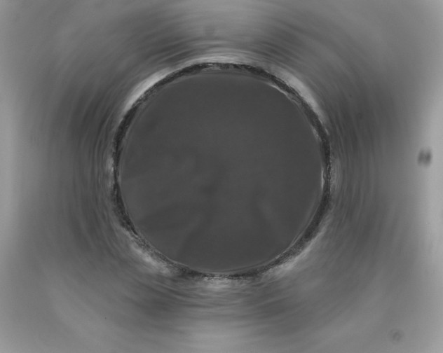 X0000090440829200707272152