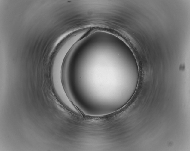 X0000090440830200707272152