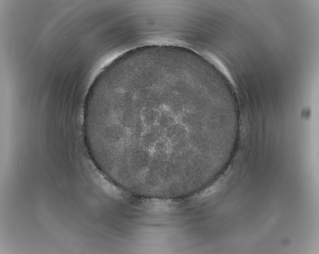 X0000090440831200707272152