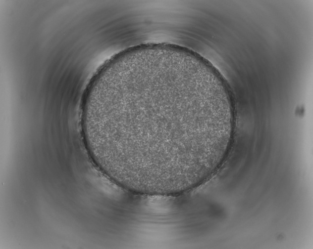 X0000090440832200707272152