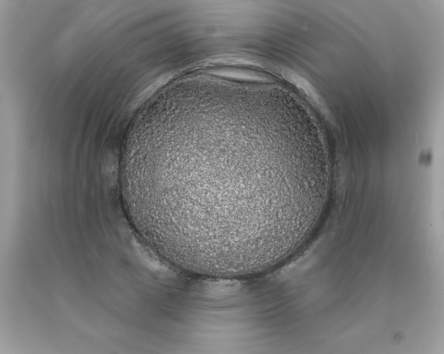 X0000090440833200707272152