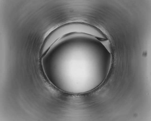 X0000090440834200707272152