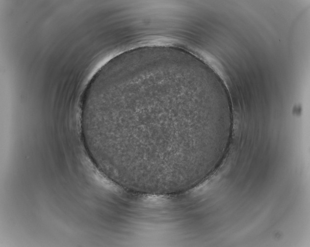 X0000090440835200707272152