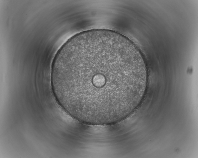 X0000090440836200707272152