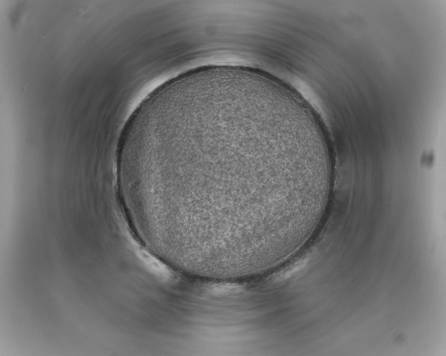 X0000090440837200707272152