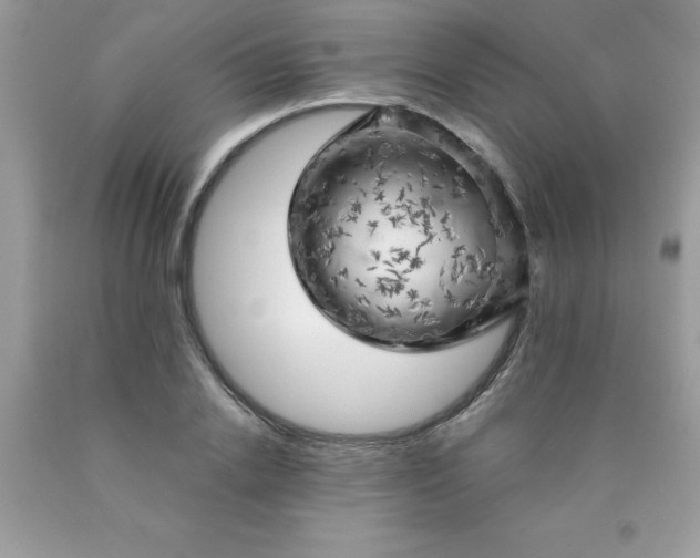 X0000090440838200707272152