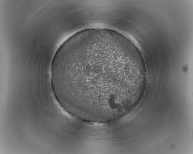 X0000090440839200707272152