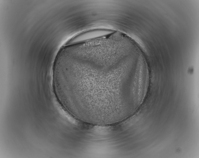 X0000090440840200707272153