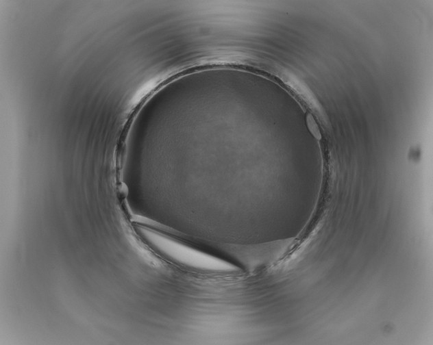 X0000090440842200707272153