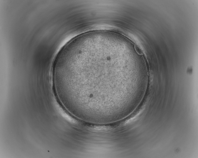 X0000090440843200707272153