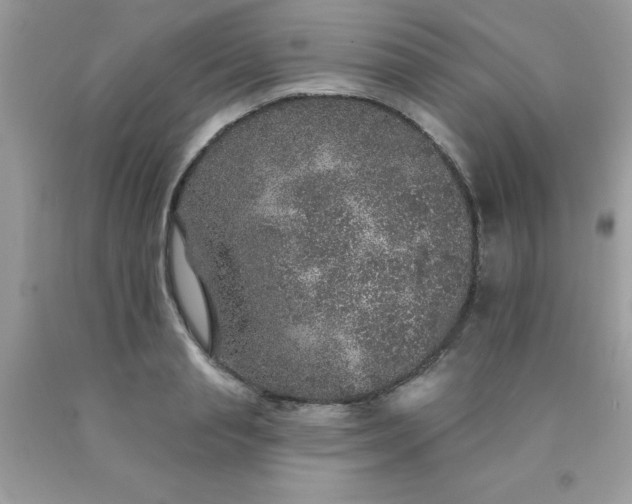 X0000090440845200707272153