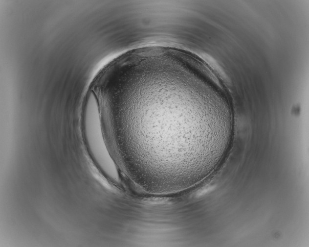 X0000090440846200707272153