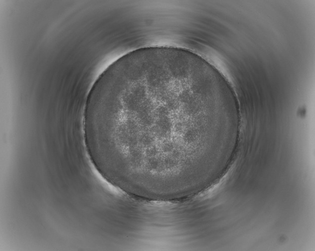 X0000090440847200707272153