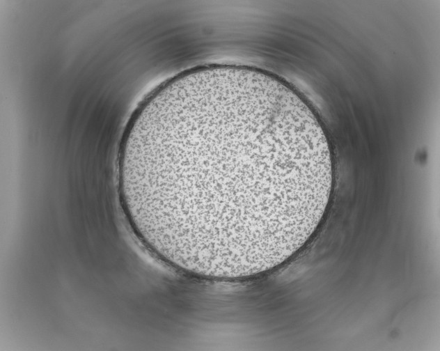 X0000090440848200707272153