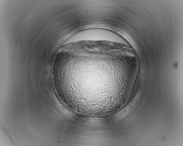 X0000090440849200707272153