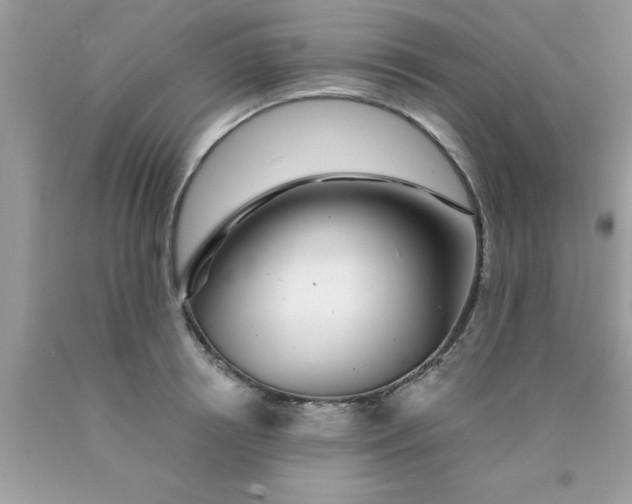 X0000090440850200707272153