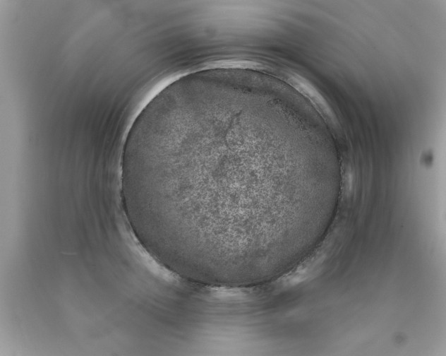 X0000090440852200707272153