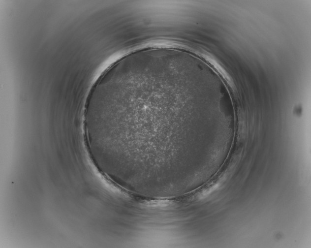 X0000090440853200707272153