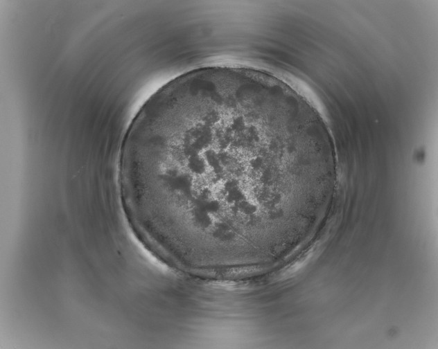 X0000090440855200707272153