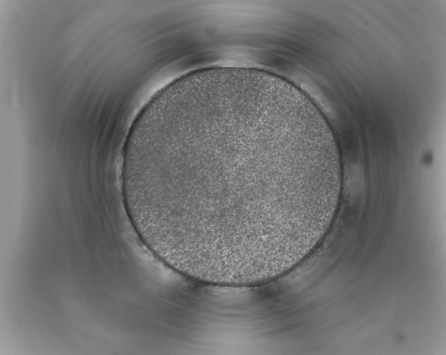 X0000090440856200707272153