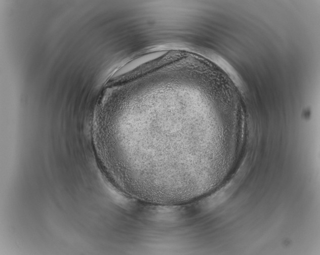 X0000090440857200707272153