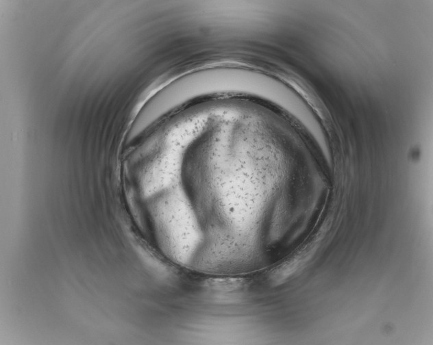 X0000090440858200707272153