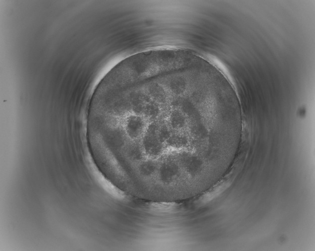 X0000090440859200707272153