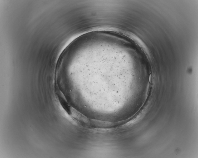 X0000090440860200707272153