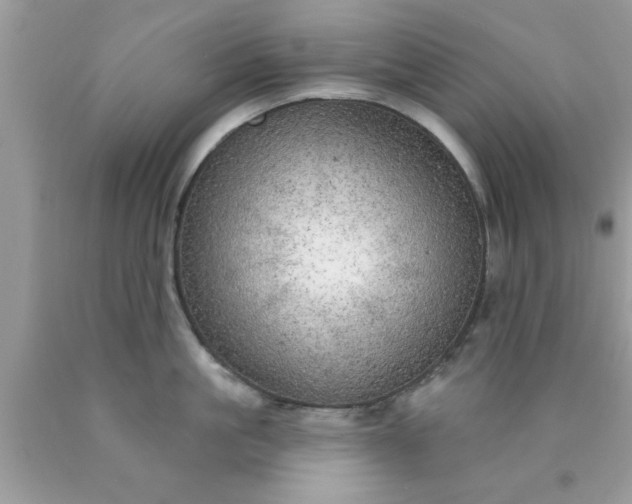 X0000090440861200707272153