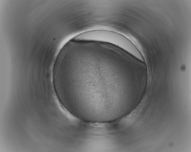 X0000090440862200707272153