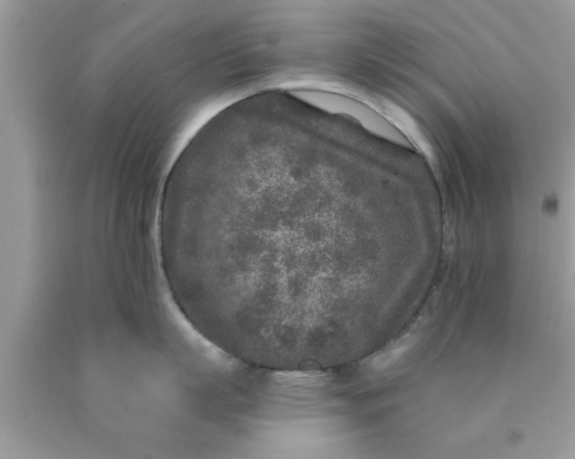 X0000090440863200707272153