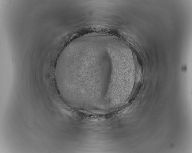 X0000090440865200707272152