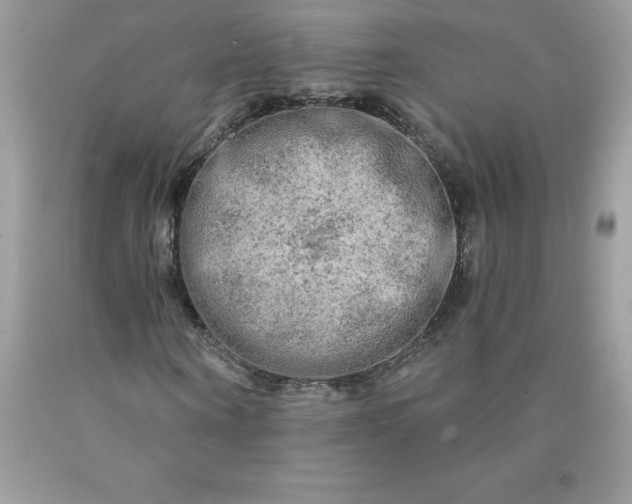 X0000090440866200707272152